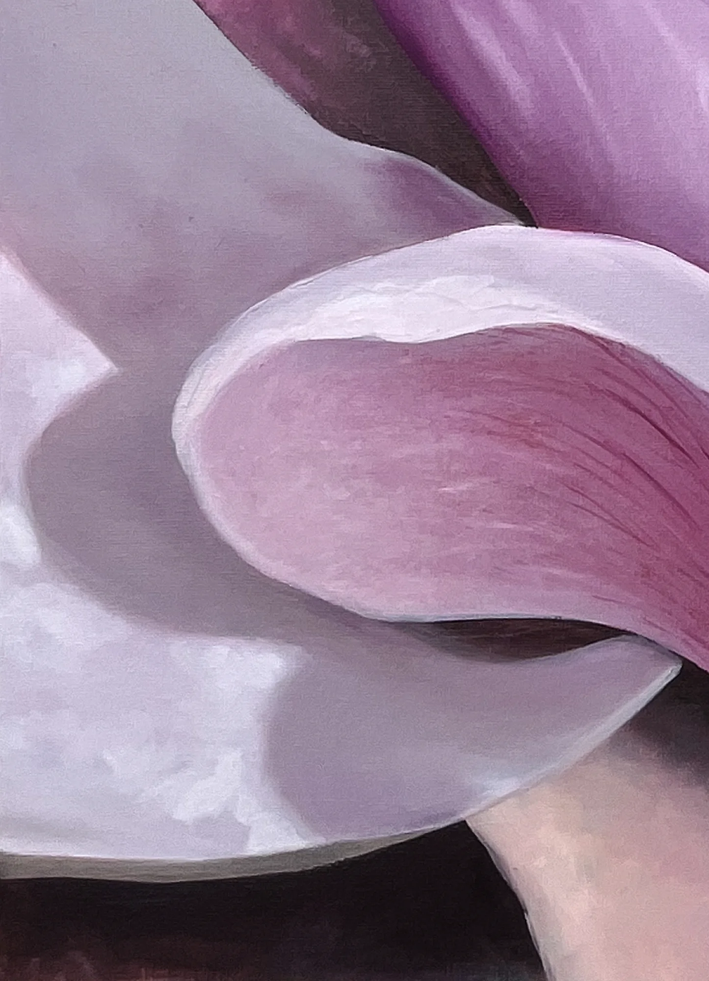 Detail zblízka: jeden ohnutý okvětní lístek, jeho růžový vnitřek jemně žilkovaný, vrhá šeříkový stín