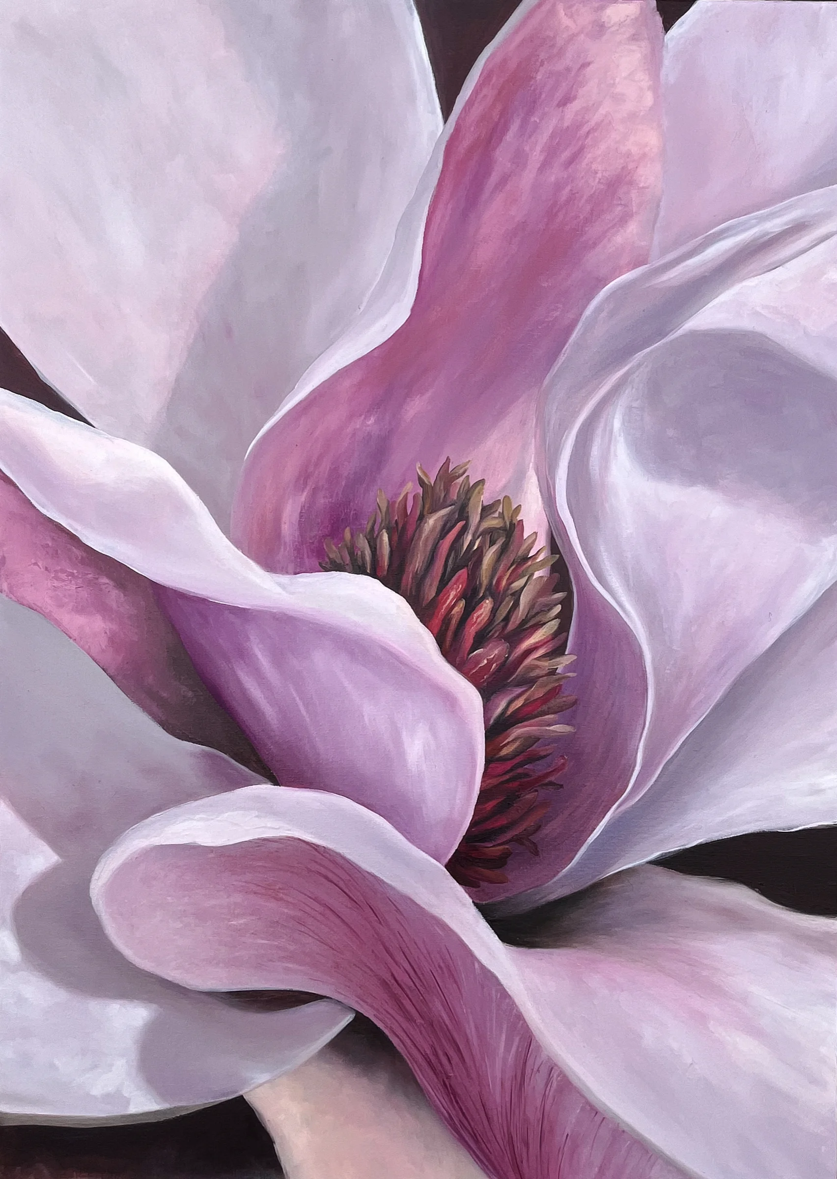 Magnólie, olej na plátně, 50 × 70 cm